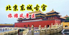 肏屄骚屄视频中国北京-东城古宫旅游风景区